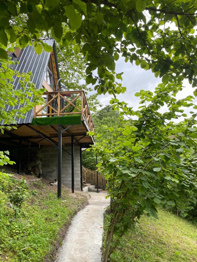 Forest House Dandalo Exterior foto