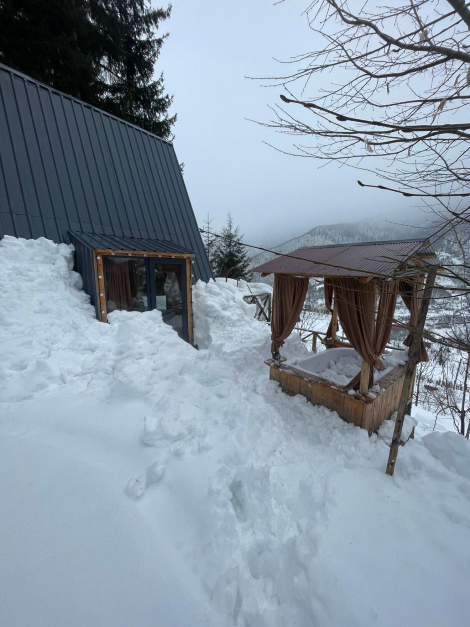 Forest House Dandalo Exterior foto